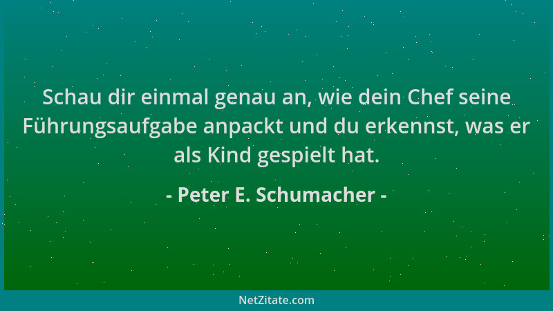 Peter E. Schumacher - Schau dir einmal genau an, wie dein Chef seine Führungsaufgabe anpackt und du erkennst, was er als Ki...