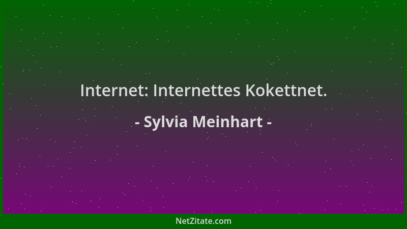 Sylvia Meinhart - Internet: Internettes Kokettnet....