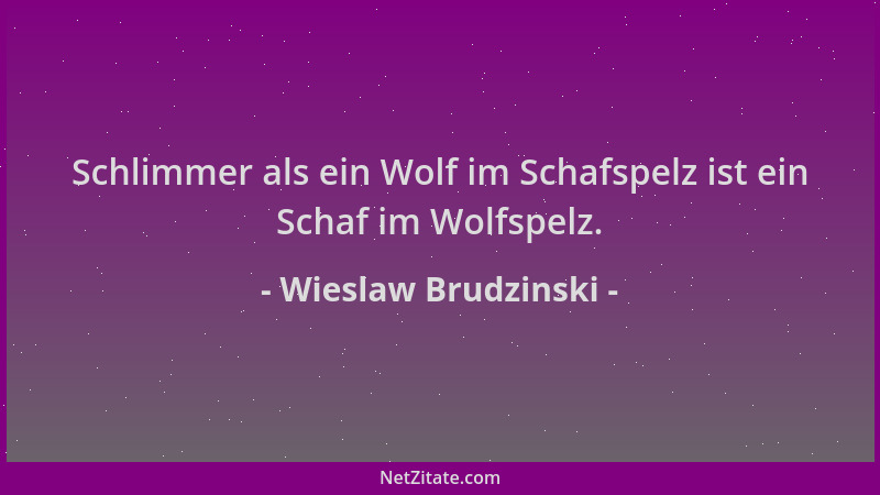 Wieslaw Brudzinski - Schlimmer als ein Wolf im Schafspelz ist ein Schaf im Wolfspelz....