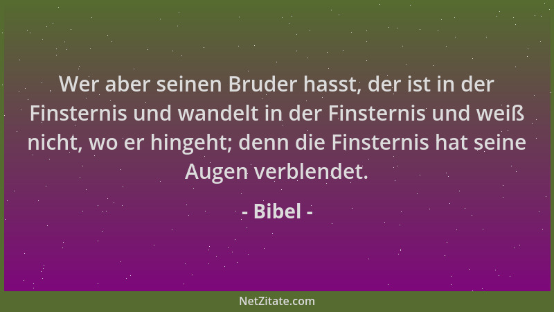 Bibel - Wer aber seinen Bruder hasst, der ist in der Finsternis und wandelt in der Finsternis und weiß nicht, wo er hingeht...