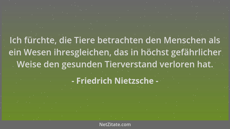 Friedrich Nietzsche - Ich fürchte, die Tiere betrachten den Menschen als ein Wesen ihresgleichen, das in höchst gefährliche...