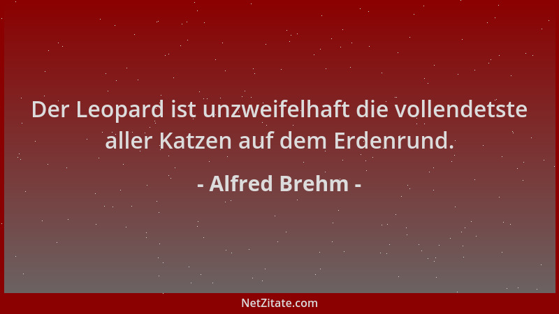 Alfred Brehm - Der Leopard ist unzweifelhaft die vollendetste aller Katzen auf dem Erdenrund....