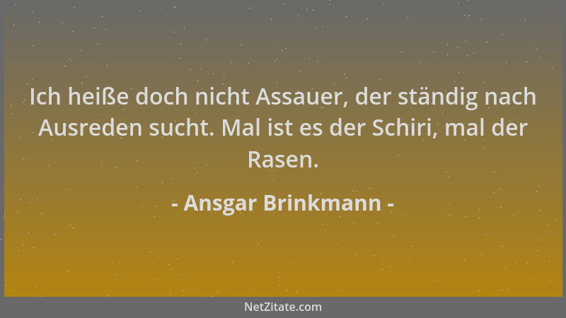 Ansgar Brinkmann - Ich heiße doch nicht Assauer, der ständig nach Ausreden sucht. Mal ist es der Schiri, mal der Rasen....