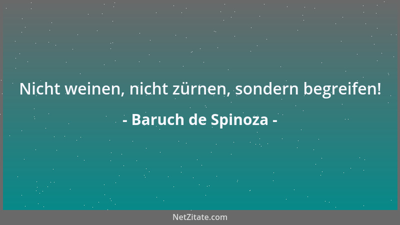 Baruch de Spinoza - Nicht weinen, nicht zürnen, sondern begreifen!...
