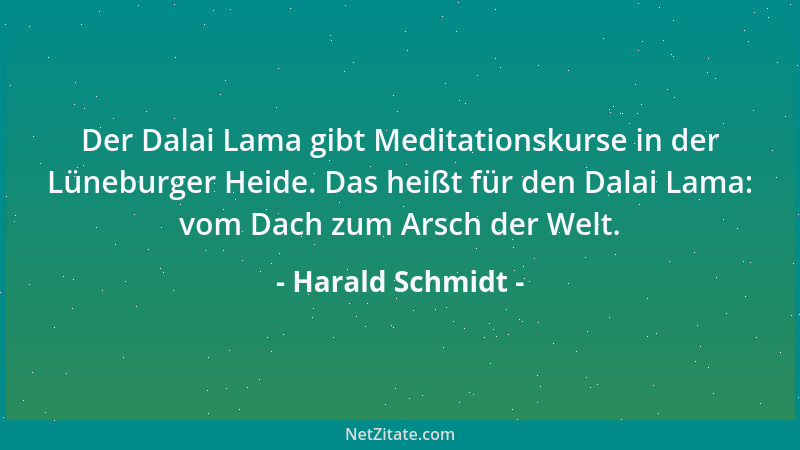 Harald Schmidt - Der Dalai Lama gibt Meditationskurse in der Lüneburger Heide. Das heißt für den Dalai Lama: vom Dach zum A...