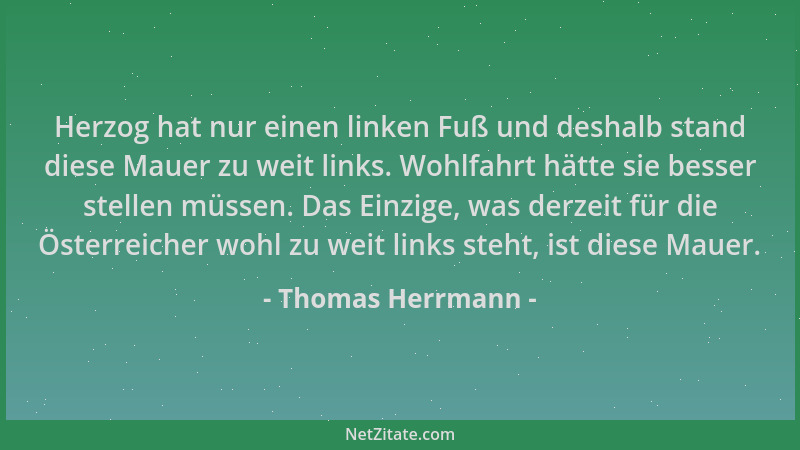 Thomas Herrmann - Herzog hat nur einen linken Fuß und deshalb stand diese Mauer zu weit links. Wohlfahrt hätte sie besser s...