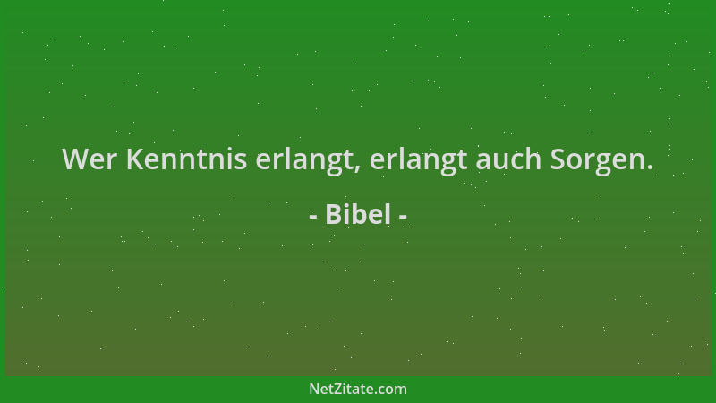 Bibel - Wer Kenntnis erlangt, erlangt auch Sorgen....