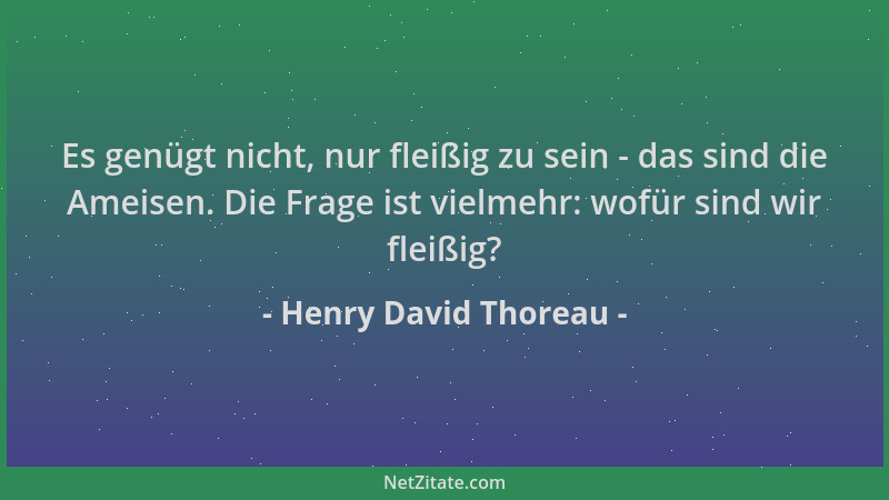 Henry David Thoreau - Es genügt nicht, nur fleißig zu sein - das sind die Ameisen. Die Frage ist vielmehr: wofür sind wir f...