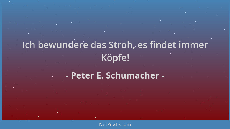 Peter E. Schumacher - Ich bewundere das Stroh, es findet immer Köpfe!...