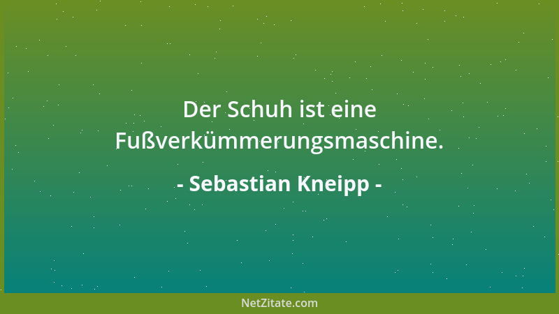 Sebastian Kneipp - Die Natur ist die beste Apotheke....