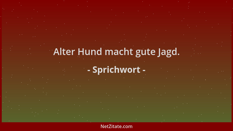 Sprichwort - Alter Hund macht gute Jagd....