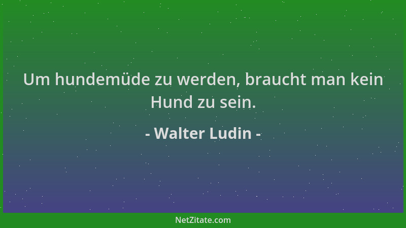 Walter Ludin - Um hundemüde zu werden, braucht man kein Hund zu sein....