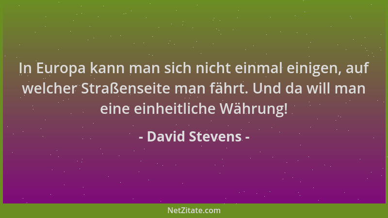 David Stevens - In Europa kann man sich nicht einmal einigen, auf welcher Straßenseite man fährt. Und da will man eine einh...