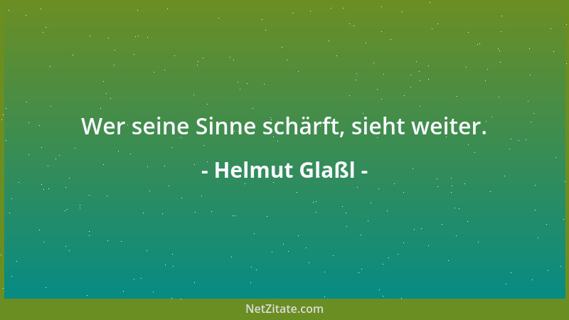 Helmut Glaßl - Wer seine Sinne schärft, sieht weiter....