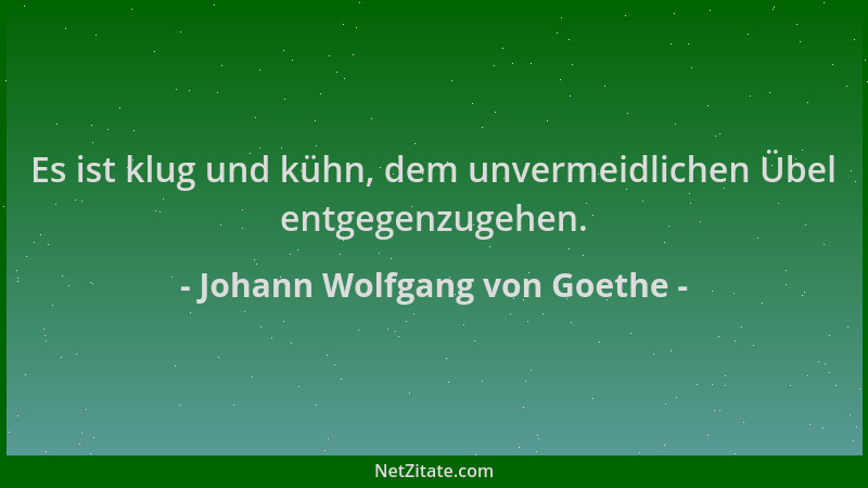 Johann Wolfgang von Goethe - Es ist klug und kühn, dem unvermeidlichen Übel entgegenzugehen....