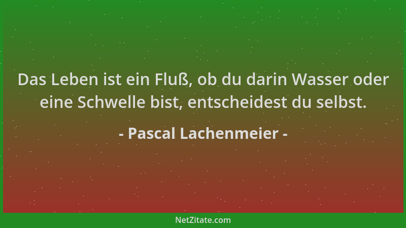 Pascal Lachenmeier - Das Leben ist ein Fluß, ob du darin Wasser oder eine Schwelle bist, entscheidest du selbst....