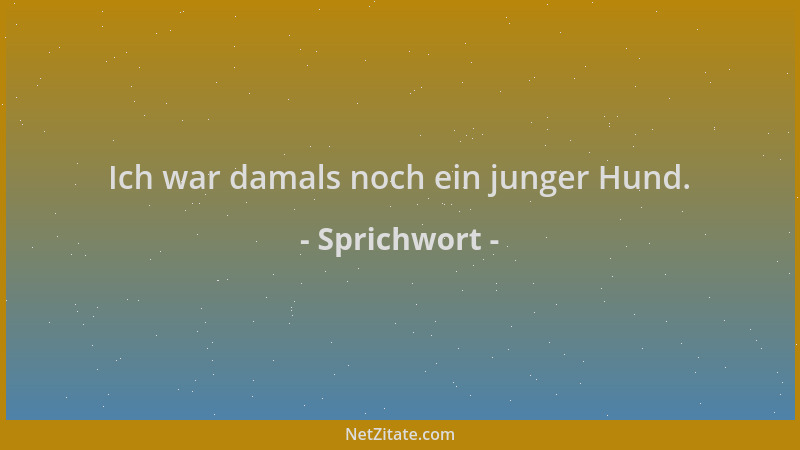 Sprichwort - Ich war damals noch ein junger Hund....