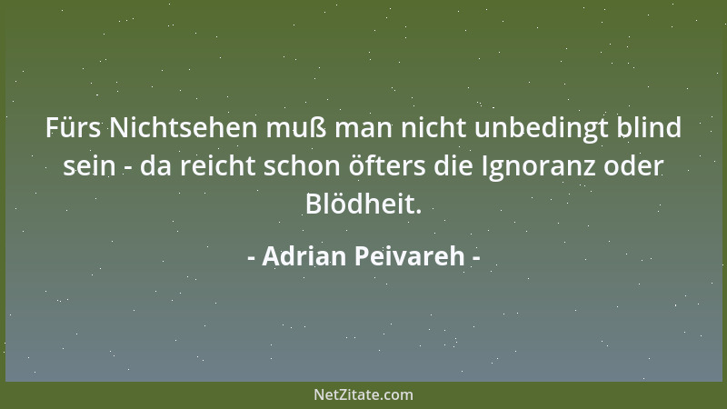 Adrian Peivareh - Fürs Nichtsehen muß man nicht unbedingt blind sein - da reicht schon öfters die Ignoranz oder Blödheit....