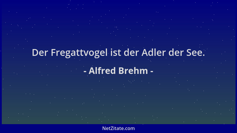 Alfred Brehm - Der Fregattvogel ist der Adler der See....