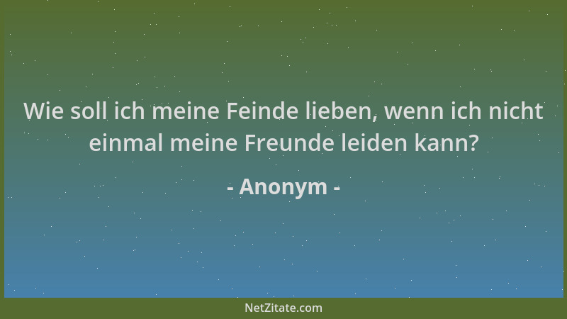 Anonym - Wie soll ich meine Feinde lieben, wenn ich nicht einmal meine Freunde leiden kann?...