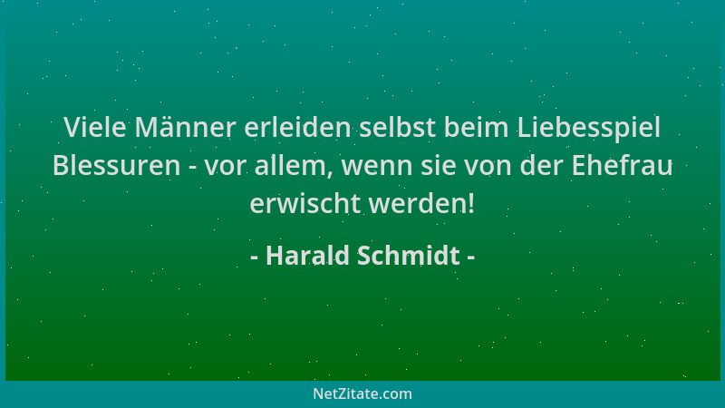 Harald Schmidt - Viele Männer erleiden selbst beim Liebesspiel Blessuren - vor allem, wenn sie von der Ehefrau erwischt wer...