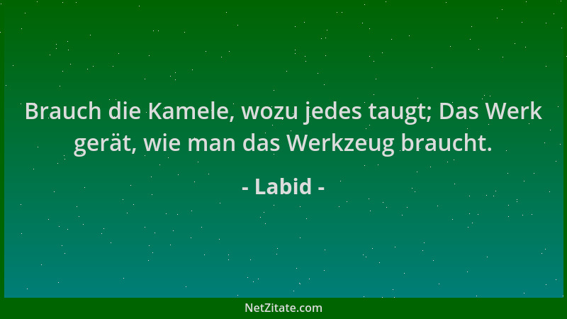 Labid - Brauch die Kamele, wozu jedes taugt; Das Werk gerät, wie man das Werkzeug braucht....