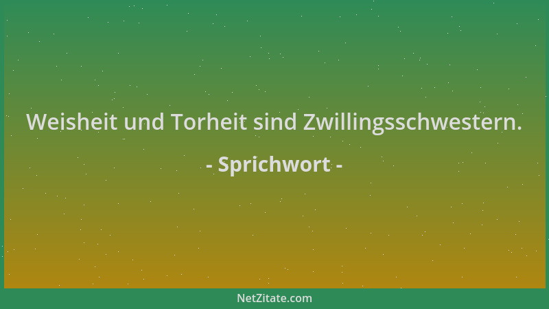 Sprichwort - Weisheit und Torheit sind Zwillingsschwestern....