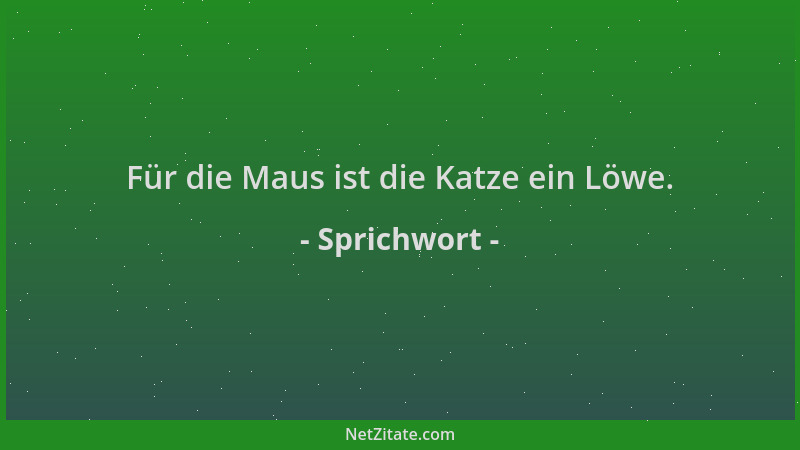 Sprichwort - Für die Maus ist die Katze ein Löwe....