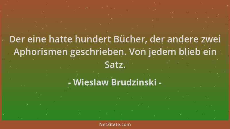 Wieslaw Brudzinski - Der eine hatte hundert Bücher, der andere zwei Aphorismen geschrieben. Von jedem blieb ein Satz....