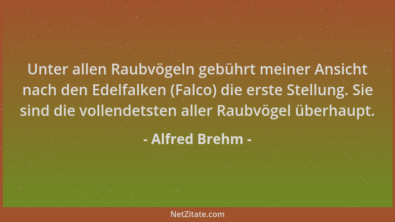Alfred Brehm - Unter allen Raubvögeln gebührt meiner Ansicht nach den Edelfalken (Falco) die erste Stellung. Sie sind die v...
