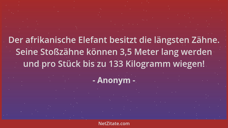 Anonym - Der afrikanische Elefant besitzt die längsten Zähne. Seine Stoßzähne können 3,5 Meter lang werden und pro Stück bi...