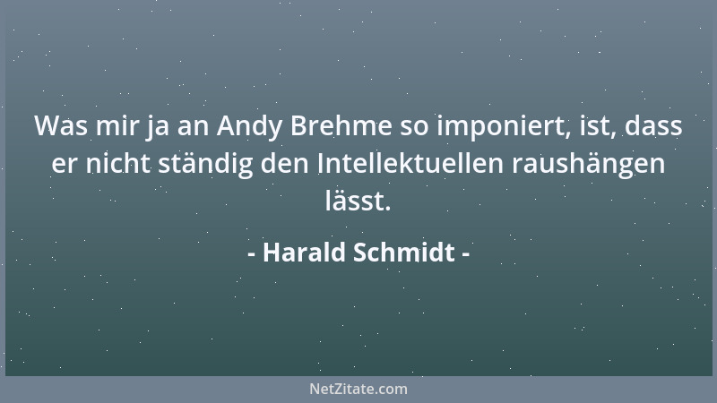 Harald Schmidt - Was mir ja an Andy Brehme so imponiert, ist, dass er nicht ständig den Intellektuellen raushängen lässt....