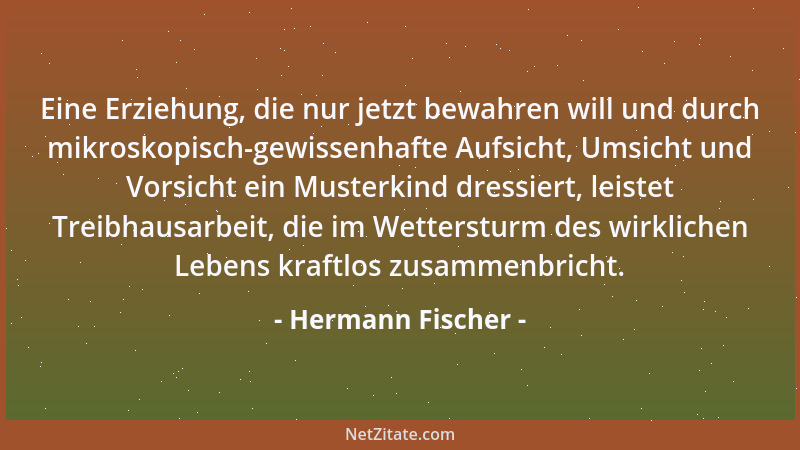 Hermann Fischer - Eine Erziehung, die nur jetzt bewahren will und durch mikroskopisch-gewissenhafte Aufsicht, Umsicht und V...