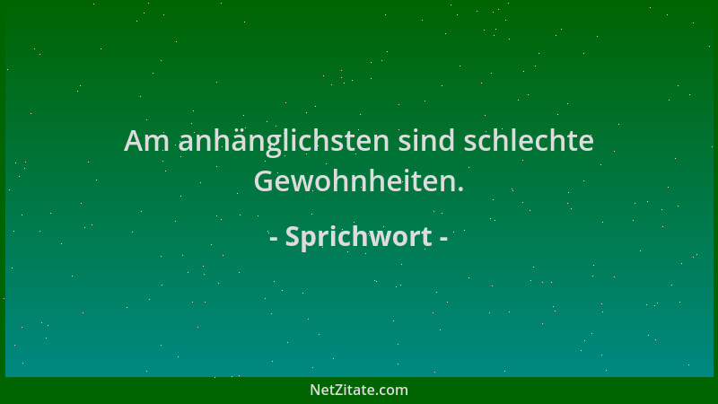 Sprichwort - Am anhänglichsten sind schlechte Gewohnheiten....