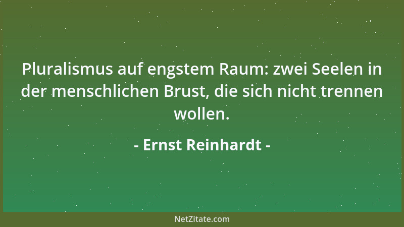 Ernst Reinhardt - Pluralismus auf engstem Raum: zwei Seelen in der menschlichen Brust, die sich nicht trennen wollen....