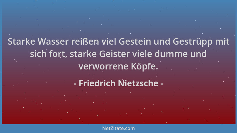 Friedrich Nietzsche - Starke Wasser reißen viel Gestein und Gestrüpp mit sich fort, starke Geister viele dumme und verworre...