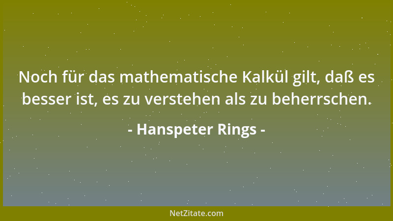 Hanspeter Rings - Noch für das mathematische Kalkül gilt, daß es besser ist, es zu verstehen als zu beherrschen....