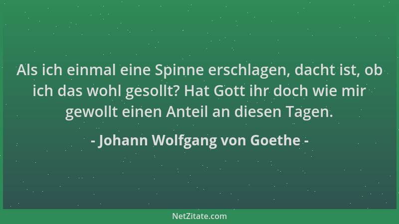 Johann Wolfgang von Goethe - Als ich einmal eine Spinne erschlagen, dacht ist, ob ich das wohl gesollt? Hat Gott ihr doch w...