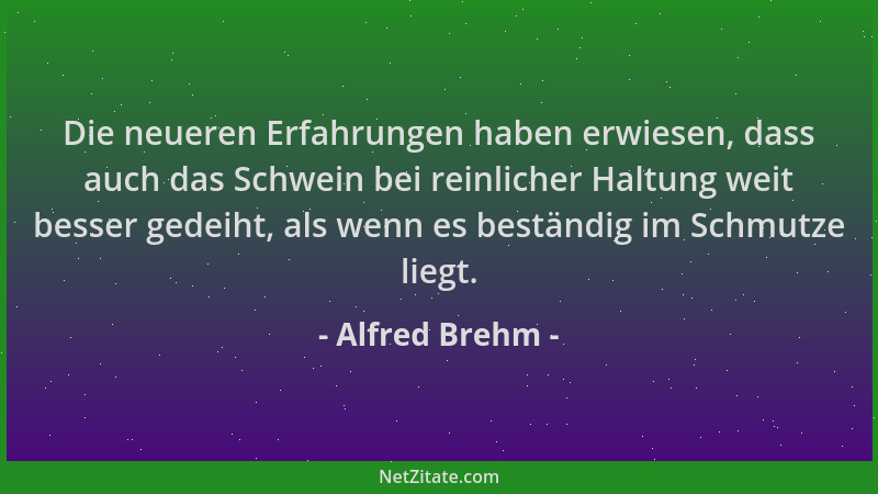 Alfred Brehm - Die neueren Erfahrungen haben erwiesen, dass auch das Schwein bei reinlicher Haltung weit besser gedeiht, al...