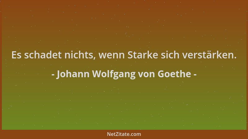 Johann Wolfgang von Goethe - Es schadet nichts, wenn Starke sich verstärken....