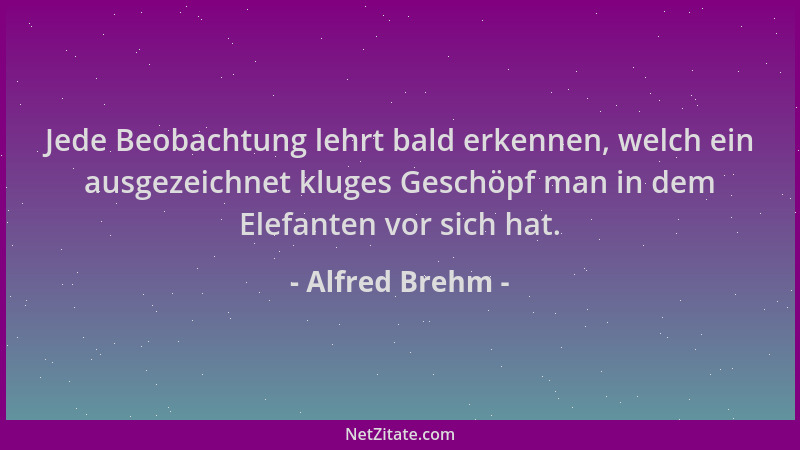 Alfred Brehm - Jede Beobachtung lehrt bald erkennen, welch ein ausgezeichnet kluges Geschöpf man in dem Elefanten vor sich...