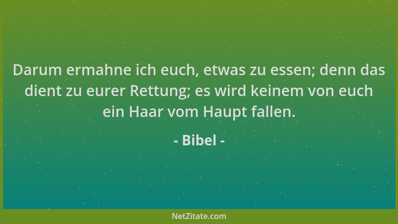 Bibel - Darum ermahne ich euch, etwas zu essen; denn das dient zu eurer Rettung; es wird keinem von euch ein Haar vom Haupt...