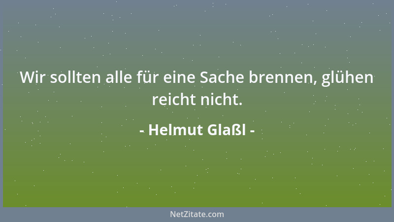 Helmut Glaßl - Wir sollten alle für eine Sache brennen, glühen reicht nicht....