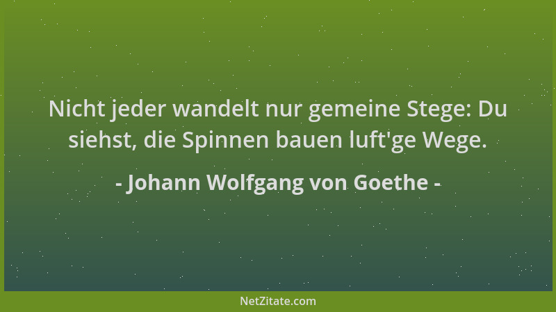 Johann Wolfgang von Goethe - Nicht jeder wandelt nur gemeine Stege: Du siehst, die Spinnen bauen luft 'ge Wege....