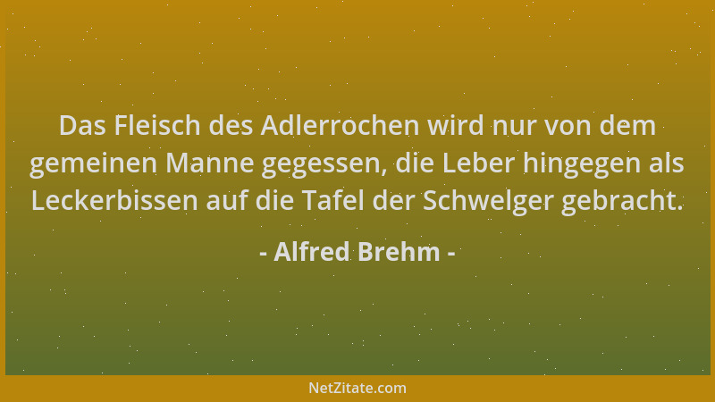 Alfred Brehm - Das Fleisch des Adlerrochen wird nur von dem gemeinen Manne gegessen, die Leber hingegen als Leckerbissen au...