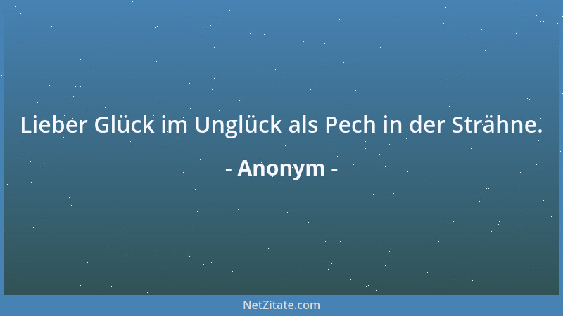 Anonym - Lieber Glück im Unglück als Pech in der Strähne....