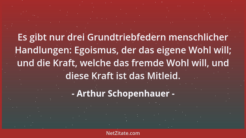 Arthur Schopenhauer - Die Ethik ist in Wahrheit die leichteste aller Wissenschaften....
