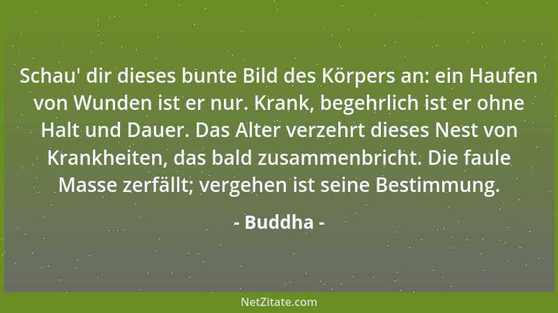Buddha - Schau ' dir dieses bunte Bild des Körpers an: ein Haufen von Wunden ist er nur. Krank, begehrlich ist er ohne Halt...
