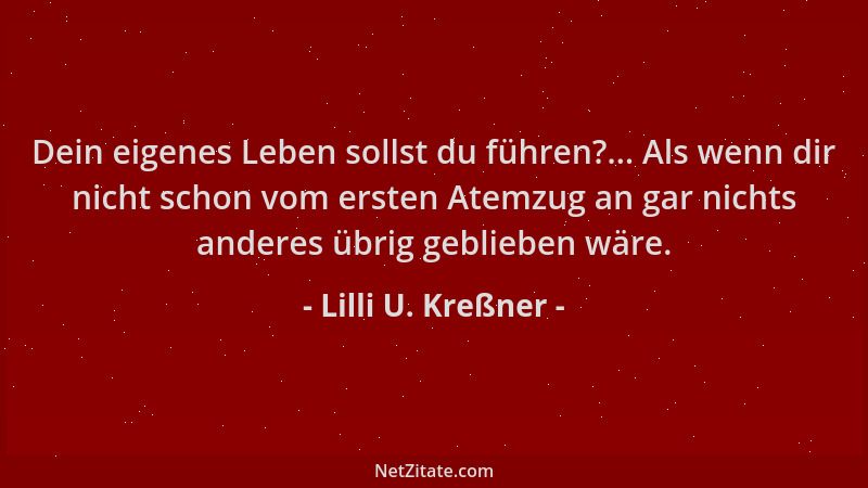 Lilli U. Kreßner - Dein eigenes Leben sollst du führen?... Als wenn dir nicht schon vom ersten Atemzug an gar nichts andere...