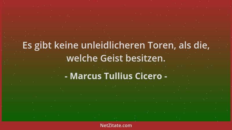 Marcus Tullius Cicero - Es gibt keine unleidlicheren Toren, als die, welche Geist besitzen....